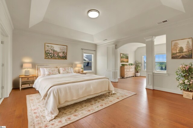 9 Sheldrake Pl, Simpsonville, SC 29681 - bedroom with a tray ceiling, arched walkways, multiple windows, wood finished floors, and crown molding