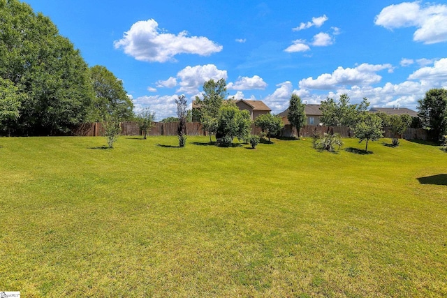 9 Sheldrake Pl, Simpsonville, SC 29681 - view of yard