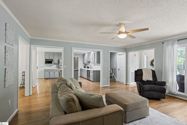 202 Shadow Oaks Dr, Easley, SC 29642 - living area with a textured ceiling, a ceiling fan, light wood finished floors, crown molding, and baseboards