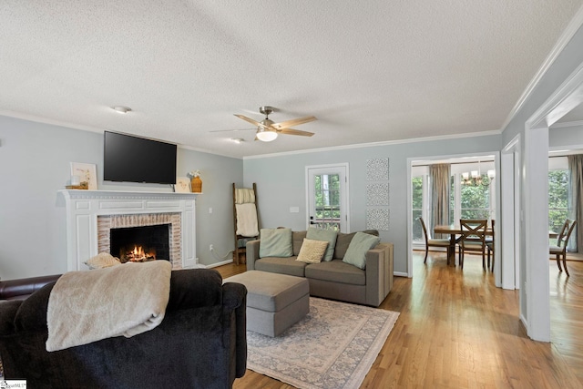 202 Shadow Oaks Dr, Easley, SC 29642 - living room featuring a textured ceiling, ornamental molding, light wood-style floors, a fireplace, and ceiling fan