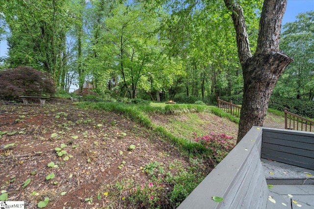 1606 Winding Way, Taylors, SC 29687 - view of yard