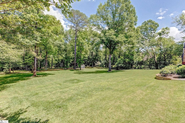 view of grassy yard