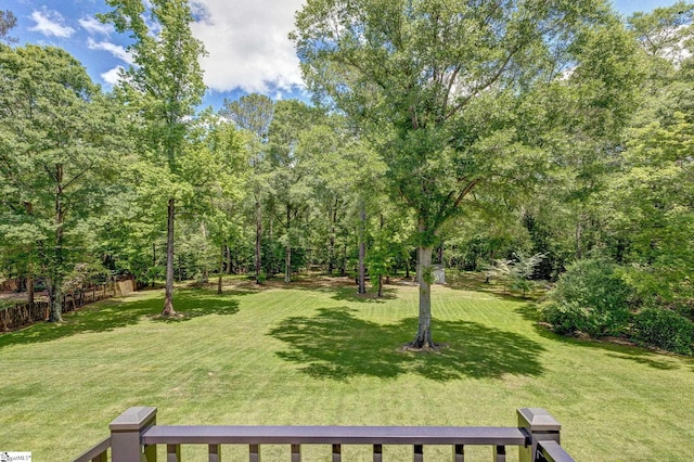 view of yard