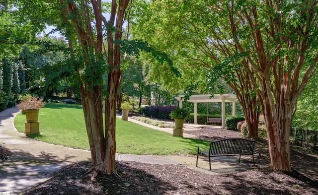 7 Collina Ct, Greenville, SC 29609 - view of home's community with a lawn and a pergola
