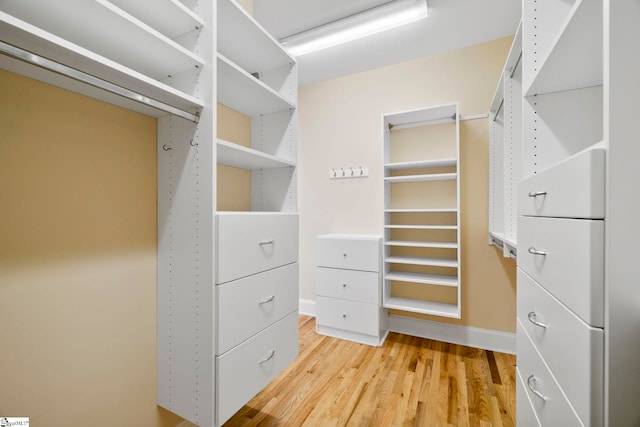 spacious closet with light wood finished floors