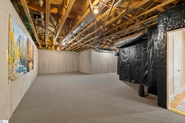 unfinished below grade area with carpet flooring