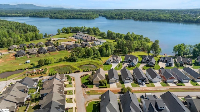 aerial view of residential area with a large body of water and a forest