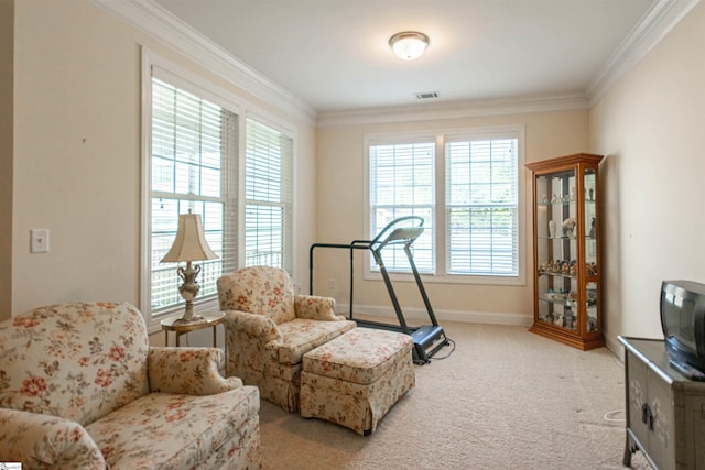30 Kittery Dr, Greenville, SC 29615 - living area with ornamental molding, carpet flooring, and baseboards