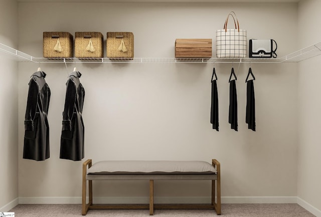 15 Snowmill Rd Unit Ag 4Crane, Woodruff, SC 29388 - walk in closet with carpet flooring