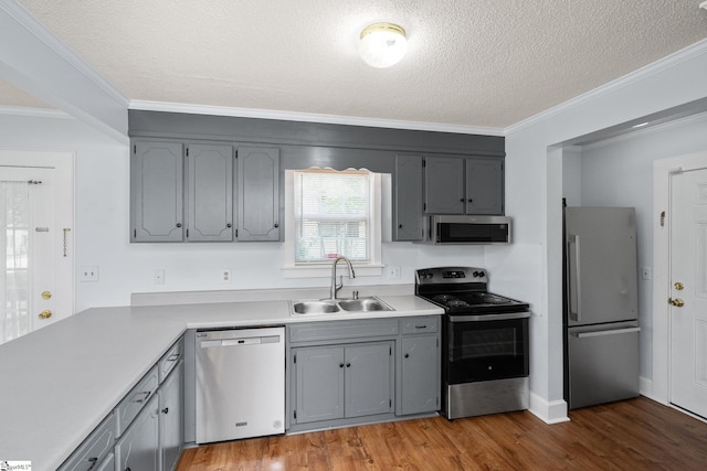 kitchen featuring appliances with stainless steel finishes, a sink, gray cabinetry, ornamental molding, and wood finished floors