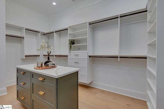 205 Fairview Dr, Greenville, SC 29609 - spacious closet featuring light wood-type flooring