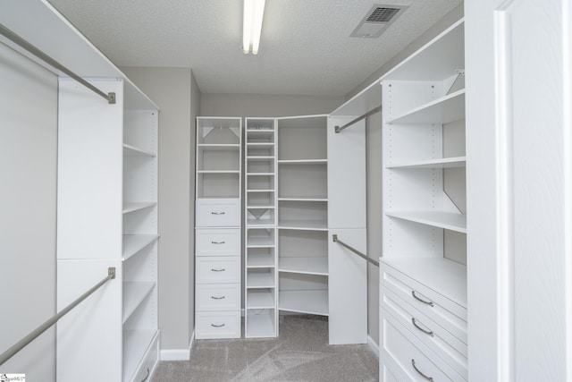 300 Stillwater Ct, Simpsonville, SC 29681 - spacious closet with carpet floors