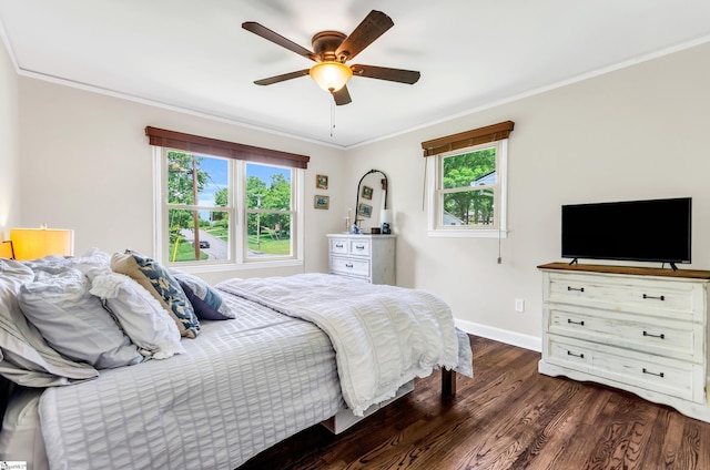 101 Kenilworth Ct, Greenville, SC 29615 - bedroom with wood finished floors, multiple windows, baseboards, ornamental molding, and a ceiling fan
