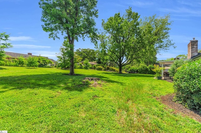 101 Kenilworth Ct, Greenville, SC 29615 - view of grassy yard