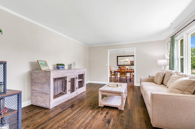 101 Kenilworth Ct, Greenville, SC 29615 - living area with wood finished floors, baseboards, and ornamental molding