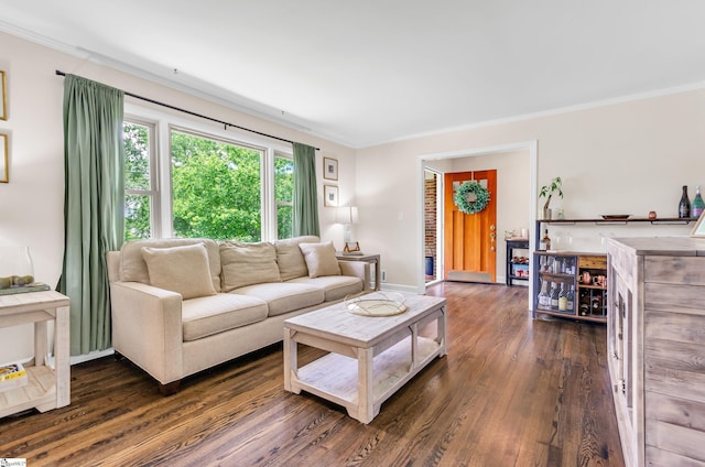 101 Kenilworth Ct, Greenville, SC 29615 - living room featuring dark wood-type flooring, crown molding, and baseboards