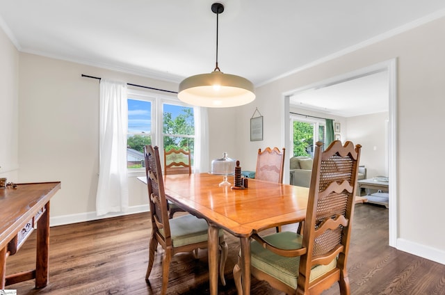 101 Kenilworth Ct, Greenville, SC 29615 - dining room with dark wood-type flooring, crown molding, and baseboards