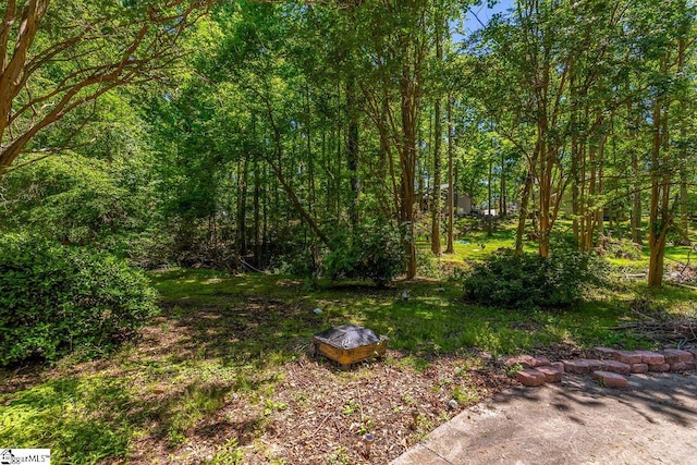 818 S Almond Dr, Simpsonville, SC 29681 - view of yard