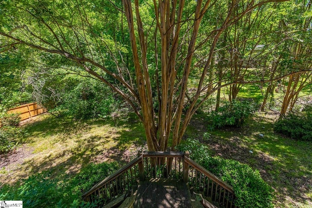 818 S Almond Dr, Simpsonville, SC 29681 - view of yard featuring fence