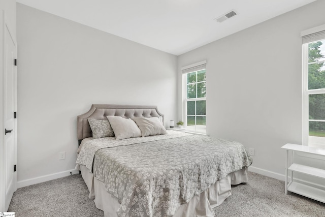 153 Coppermine Dr, Easley, SC 29642 - carpeted bedroom with baseboards and multiple windows