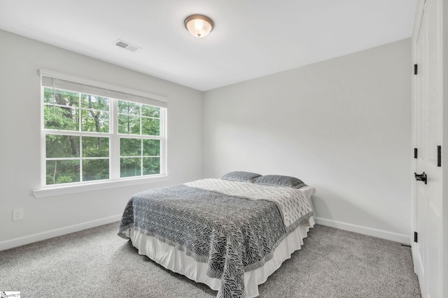 153 Coppermine Dr, Easley, SC 29642 - bedroom with baseboards and light colored carpet