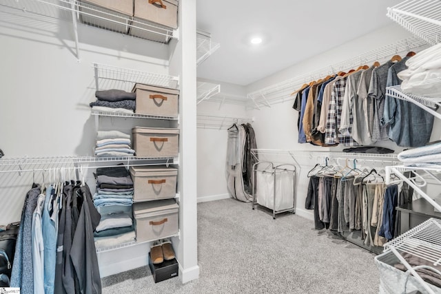 153 Coppermine Dr, Easley, SC 29642 - walk in closet with carpet flooring