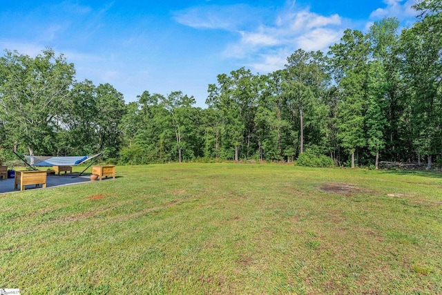 view of grassy yard featuring a forest view