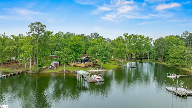 653 R B Baker Dr, Chapin, SC 29036 - water view with a dock and a tree filled landscape