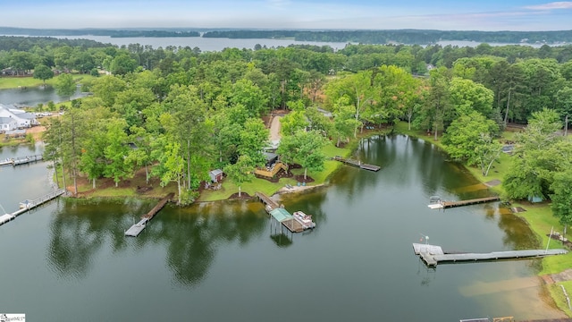 653 R B Baker Dr, Chapin, SC 29036 - aerial view of property's location with a large body of water