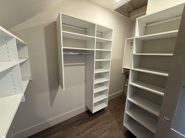 706 Anderson Rd Lot 4, Greenville, SC 29601 - walk in closet featuring dark wood finished floors