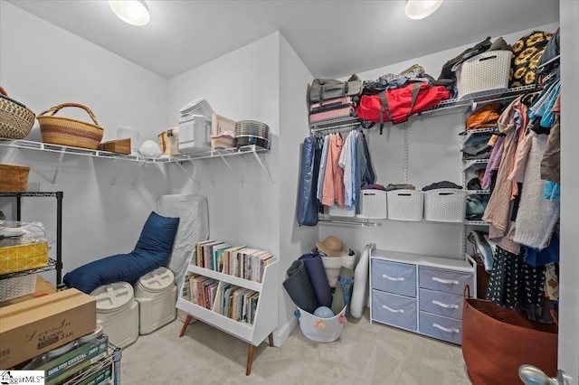 6 Kelvyn St, Greer, SC 29651 - spacious closet with carpet floors