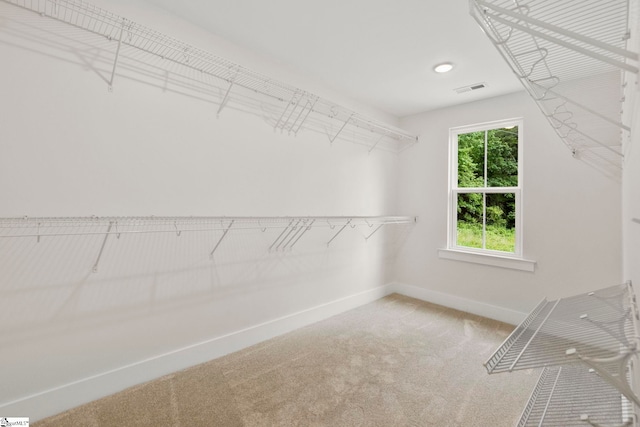 spacious closet featuring carpet flooring