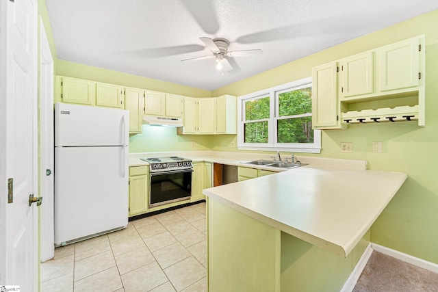 251 Cherokee Dr, Fair Play, SC 29643 - kitchen with freestanding refrigerator, electric stove, a sink, under cabinet range hood, and a peninsula