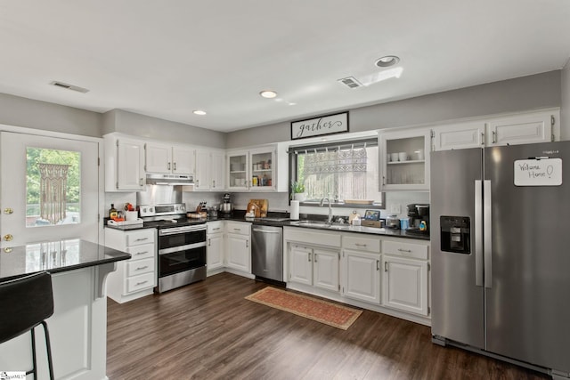7 Bendingwood Cir, Taylors, SC 29687 - kitchen featuring appliances with stainless steel finishes, a sink, under cabinet range hood, healthy amount of natural light, and recessed lighting