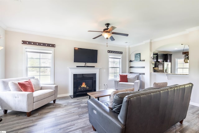 110 Avendell Dr, Easley, SC 29642 - living room with ceiling fan, light wood finished floors, crown molding, arched walkways, and a glass covered fireplace