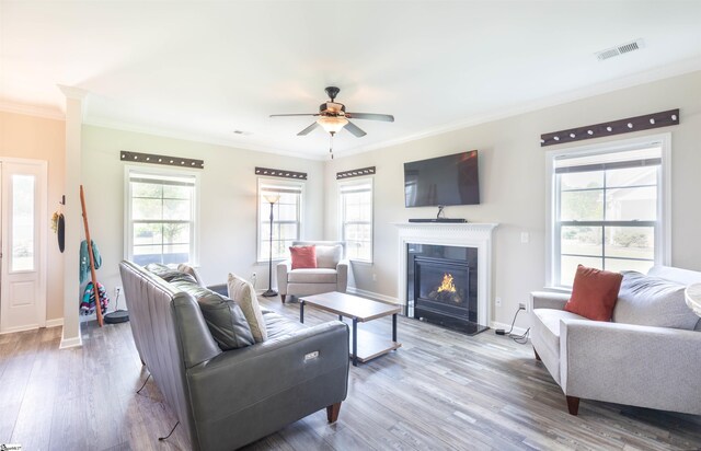 110 Avendell Dr, Easley, SC 29642 - living room featuring ornamental molding, wood finished floors, healthy amount of natural light, and a ceiling fan