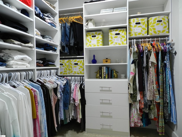 14 Moray Pl, Simpsonville, SC 29681 - view of walk in closet
