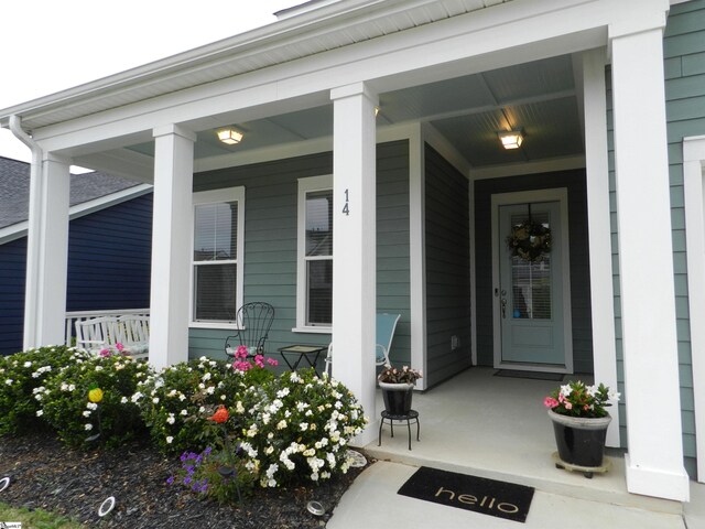 14 Moray Pl, Simpsonville, SC 29681 - entrance to property with covered porch