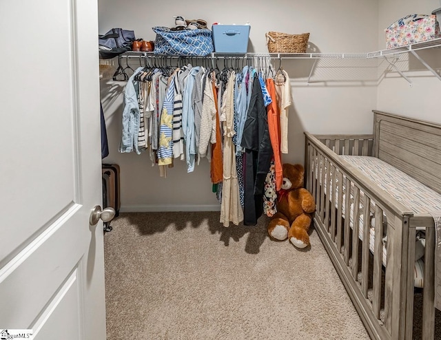 115 Slateford Cir, Piedmont, SC 29673 - walk in closet featuring carpet floors