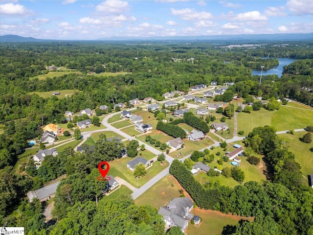 2575 Old Ansel School Rd, Greer, SC 29651 - bird's eye view of a heavily wooded area and a nearby body of water