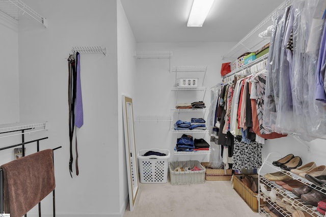 walk in closet with carpet flooring