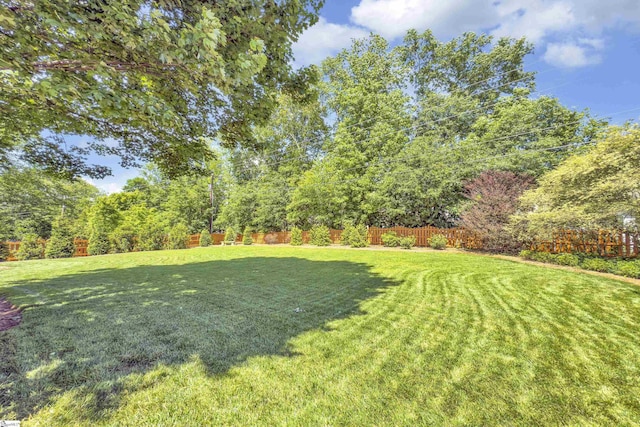 view of yard