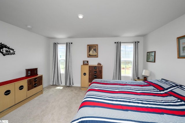 203 Bending Branch Rd, Greenville, SC 29605 - bedroom featuring multiple windows and light colored carpet