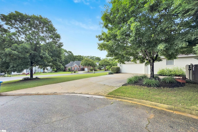 view of property hidden behind natural elements with a front lawn, driveway, and stucco siding