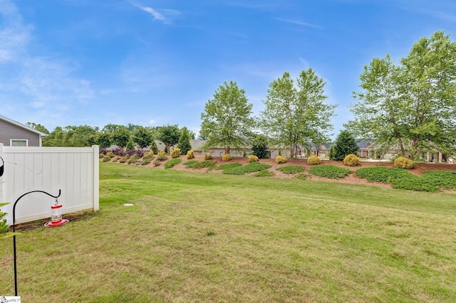 305 Yellow Fox Rd, Greer, SC 29650 - view of grassy yard