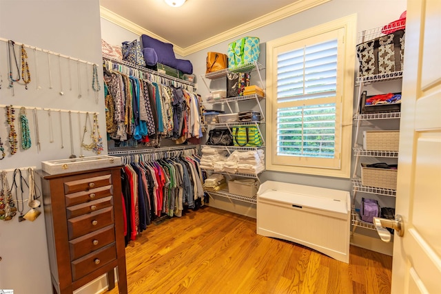 spacious closet with wood finished floors