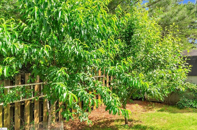 239 Walcott Dr, Lyman, SC 29365 - view of yard with fence
