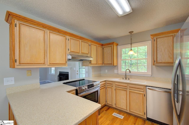 400 Halifax Dr, Greenville, SC 29615 - kitchen featuring appliances with stainless steel finishes, a sink, under cabinet range hood, light wood-style floors, and light countertops