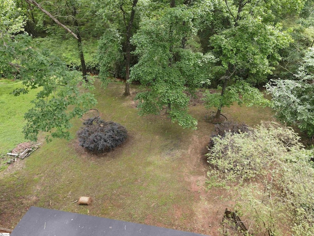 400 Halifax Dr, Greenville, SC 29615 - view of yard