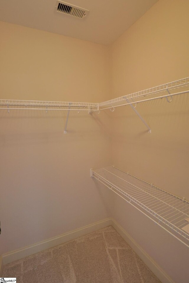 128 Palm Springs Way, Simpsonville, SC 29681 - spacious closet with carpet floors